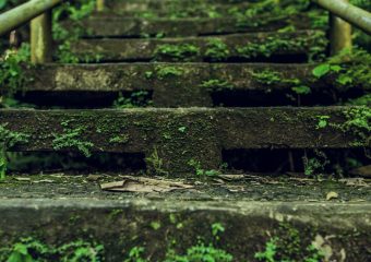 Extremismo: por que ameaça a convivência e o que a psicologia diz