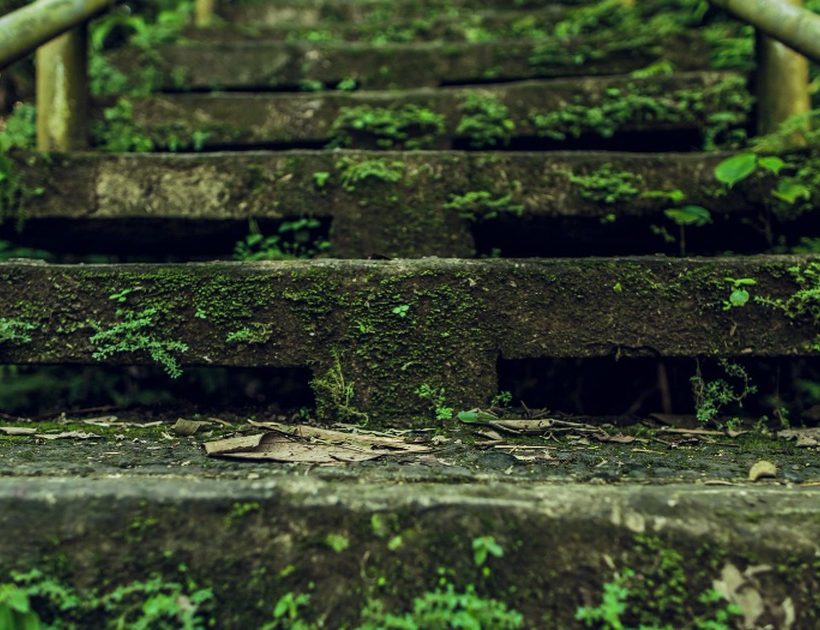 Extremismo: por que ameaça a convivência e o que a psicologia diz